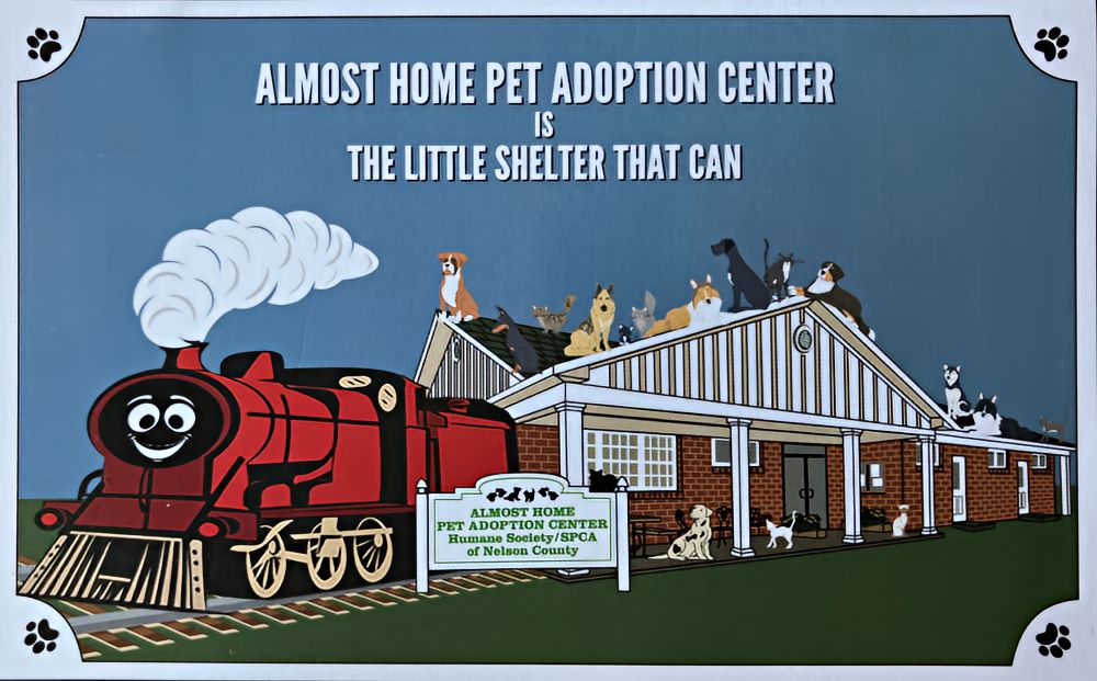 Almost Home Pet Adoption Center is The Little Shelter That Can