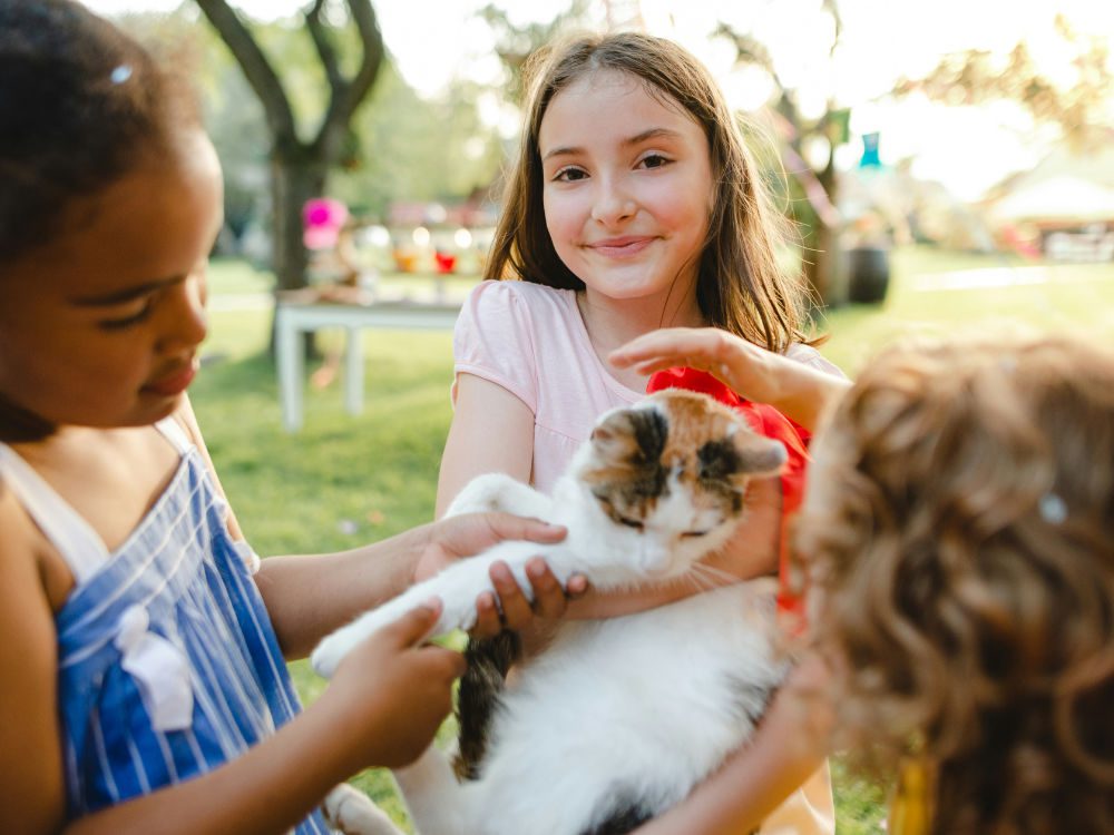 a little girl at a park event holding a kitten while her friends pet it