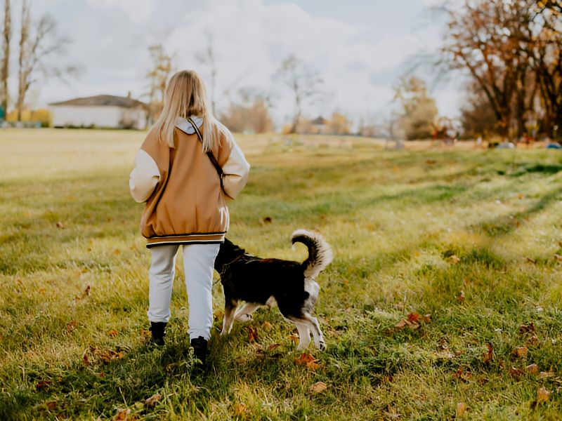 A girl walking her dog in a field