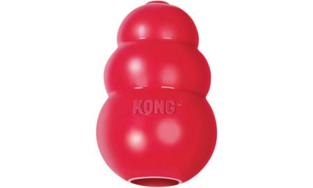 Kong dog toy