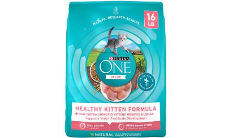 Purina One Kitten Food