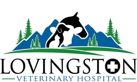 Lovingston Veterinary Hospital logo