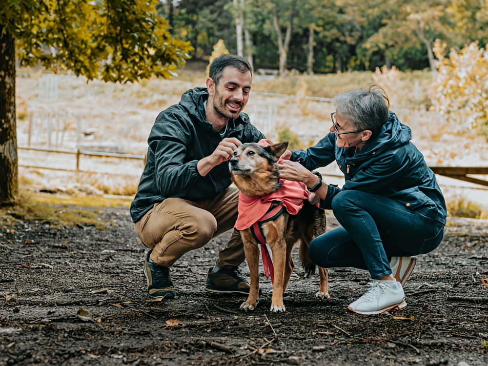 An older lady and her son squatting down to pet a dog